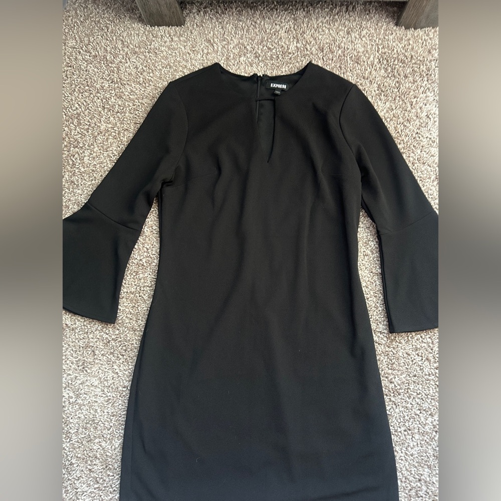 Express Dress - Picture 2 of 5